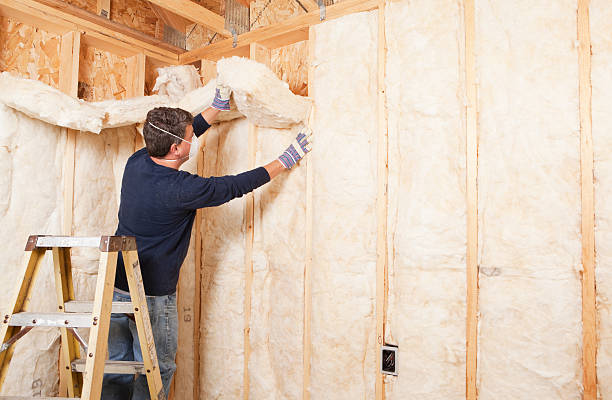 Best Insulation for New Construction in Elizabeth Lake, CA